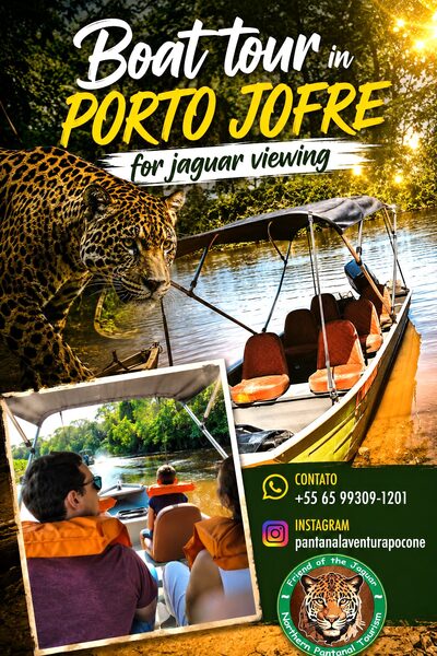 Poster for the Porto Jofre boat tour for jaguar viewing